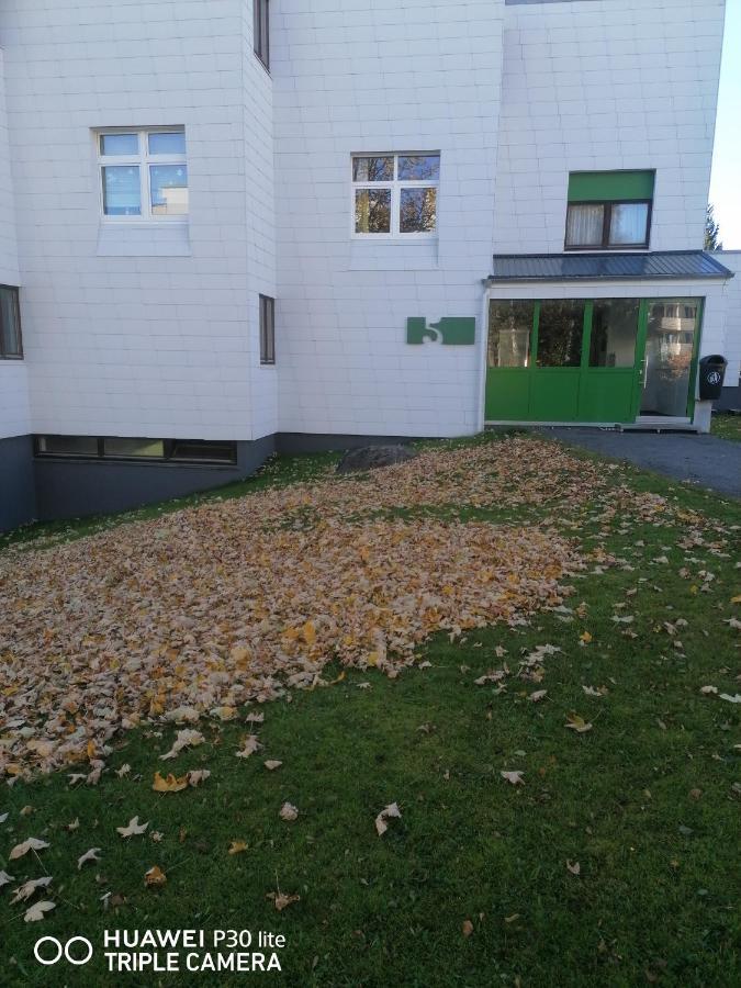 King Apartament 1 Mit Netflix Apartment Sankt Englmar Exterior photo